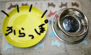 e382abe38395e382a7efbc93e381aee382b3e38394e383bc