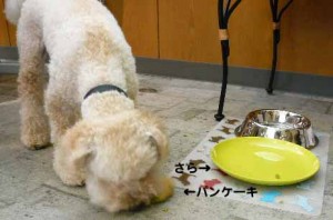 e382abe38395e382a7efbc95e381aee382b3e38394e383bc1