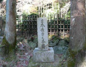 e69c80e58fa4e381aee88cb6e59c92e381aee382b3e38394e383bc