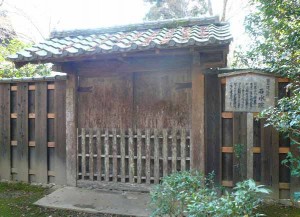 e79fb3e6b0b4e999a2e381aee99680e381aee382b3e38394e383bc