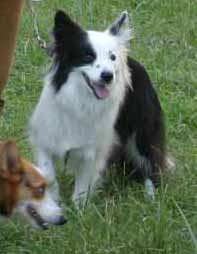 e3819fe381bee38193e381a1e38283e38293e381aee382b3e38394e383bc1