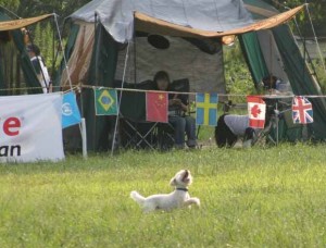 e382a2e38383e382b5e383a0efbc92re38080efbc95e381aee382b3e38394e383bc