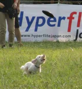 e382a2e38383e382b5e383a0efbc92re38080efbc98e381aee382b3e38394e383bc