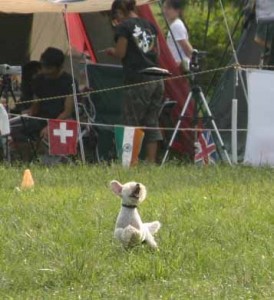 e382a2e38383e382b5e383a0efbc96e381aee382b3e38394e383bc