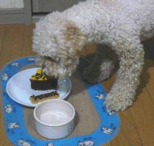 e382b1e383bce382ade382bfe382a4e383a0e381aee382b3e38394e383bc