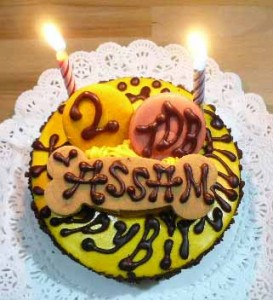 e38390e383bce382b9e38387e383bce382b1e383bce382ade381aee382b3e38394e383bc1