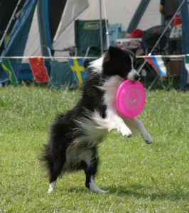 e38393e383b3e382b4efbc92re38080efbc94e381aee382b3e38394e383bc