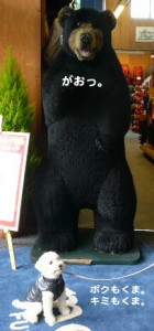 e3818fe381bee381a0efbc81e381aee382b3e38394e383bc1