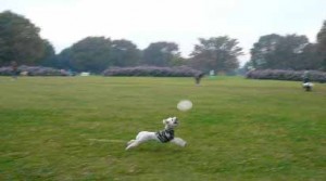 e38387e382a3e382b9e382afefbc81e381aee382b3e38394e383bc