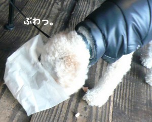 e9a2a8e3818ce381aee382b3e38394e383bc1