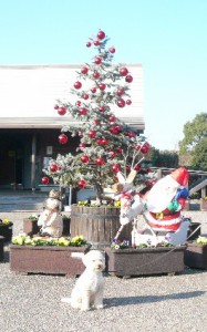 e38384e383aae383bce381aee4b88be381a7e381aee382b3e38394e383bc