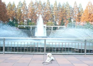 e599b4e6b0b4e381aee5898de381a7efbc93e381aee382b3e38394e383bc