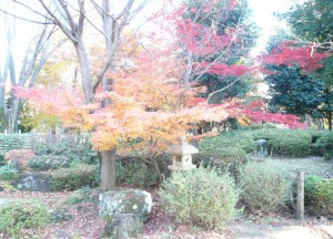 e7b485e89189e381aee382b3e38394e383bc