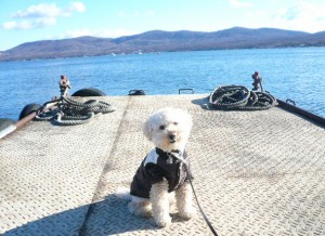 1-3e6a19fe6a98be381aea