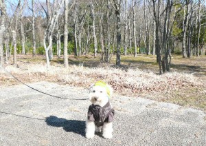 efbc91efbc8fefbc93e38080e8b6b3e69f84sae381aee382b3e38394e383bc