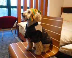 efbc91efbc8fefbc93e3839be38386e383abe381aee983a8e5b18befbc92e381aee382b3e38394e383bc