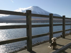 efbc91efbc8fefbc93e5af8ce5a3abe5b1b1e381aee382b3e38394e383bc