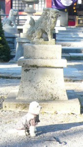 efbc91efbc8fefbc93e78b9be78aace381aee382b3e38394e383bc