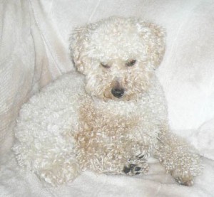 efbc93efbc8fefbc92efbc95e38080e382a2e38383e382b5e383a0e381aee382b3e38394e383bc