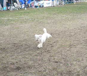 efbc93efbc8fefbc97e38080e383ace38388e383aae383bce38396efbc92re381aee382b3e38394e383bc