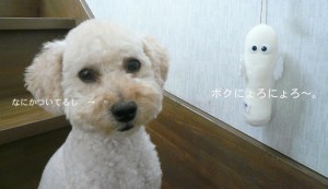 e381abe38287e3828de381abe38287e3828de381a8a2e381aee382b3e38394e383bc