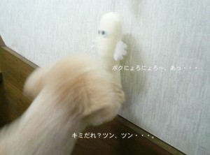 e381abe38287e3828de381abe38287e3828de381a8a3e381aee382b3e38394e383bc