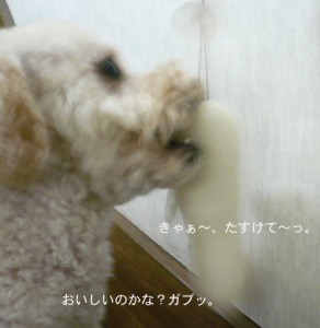 e381abe38287e3828de381abe38287e3828de381a8a4e381aee382b3e38394e383bc