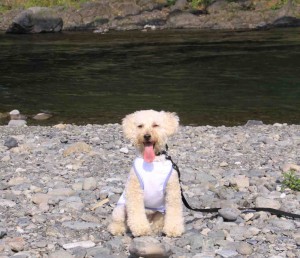 釜の淵公園の川辺にてのコピー１