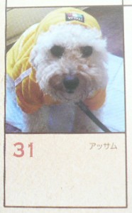 カレンダー掲載写真さのコピー