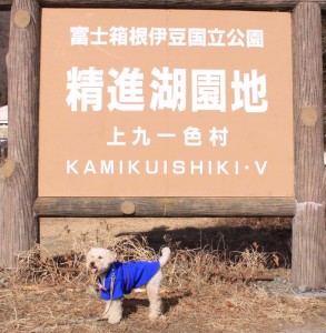 1-3 精進湖 1-3 精進湖