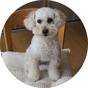 バァ。2のコピー バァ。2のコピー