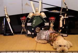 かぶとのセットのまえで1のコピー かぶとのセットのまえで1のコピー