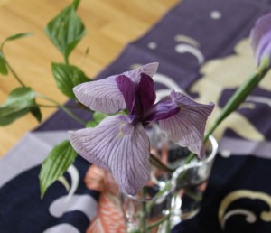 菖蒲の花のコピー 菖蒲の花のコピー