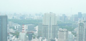 窓からのコピー 窓からのコピー