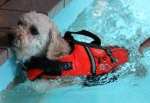 はじめてのSS2のコピー はじめてのSS2のコピー