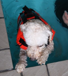 はじめてのSS3のコピー はじめてのSS3のコピー