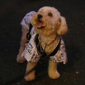 えきまえしょうてんがいなつまつり２のコピー