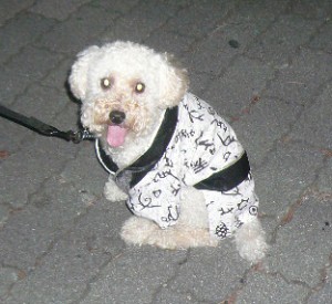 えきまえしょうてんがいなつまつり４のコピー