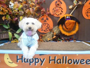 10がつのカフェ1のコピー 10がつのカフェ1のコピー