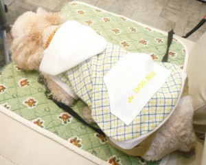 10がつのカフェ3のコピー 10がつのカフェ3のコピー