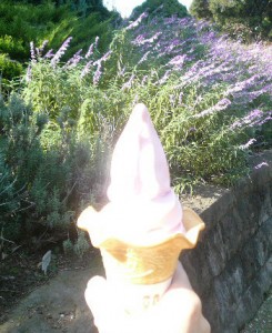 薔薇のソフトクリームのコピー 薔薇のソフトクリームのコピー