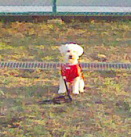 さんぽのふうけい5のコピー さんぽのふうけい5のコピー