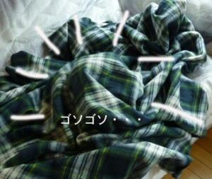 ソファーのうえで2のコピー ソファーのうえで2のコピー