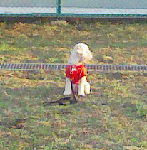 さんぽのふうけい4のコピー さんぽのふうけい4のコピー