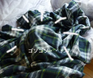 ソファーのうえで1のコピー ソファーのうえで1のコピー