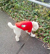 さんぽのふうけい3のコピー さんぽのふうけい3のコピー