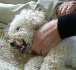 グランパとAのコピー グランパとAのコピー