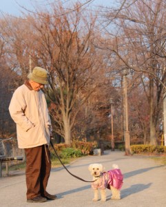 がんたんのさんぽ２のコピー