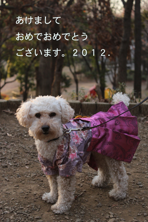 しんねんのあいさつ