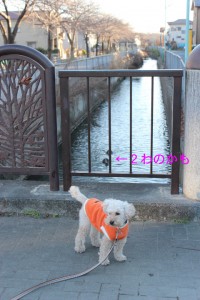 １がつ２にちのさんぽ